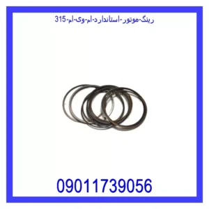 قیمت و خرید رینگ موتور استاندارد ام وی ام 315 در اتوچین