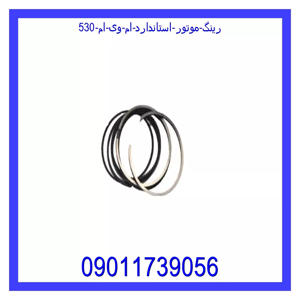 رینگ موتور استاندارد ام وی ام 530 قیمت و خرید رینگ موتور استاندارد ام وی ام 530 در اتوچین