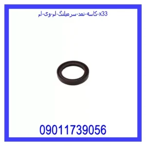 قیمت و خرید کاسه نمد سرمیلنگ ام وی ام X33 در اتوچین