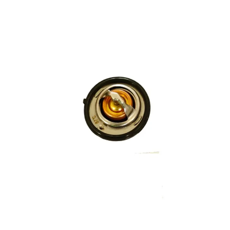 قیمت ترموستات دیگنیتی پرایم در اتوچین