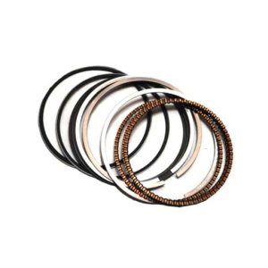 قیمت رینگ موتور X۵۰ در اتوچین