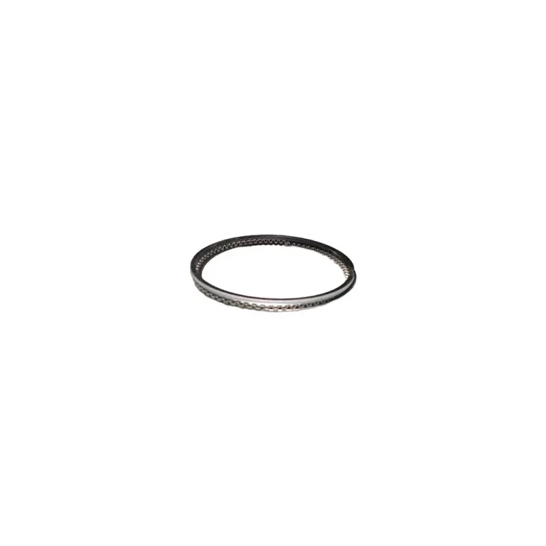 قیمت رینگ موتور ام وی ام 110 3 سیلندر(سایز 25) در اتوچین