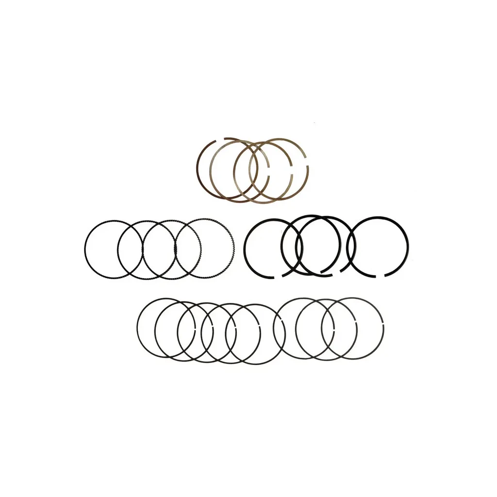 رینگ موتور جک S5,T8(سایز 25) قیمت رینگ موتور جک S5