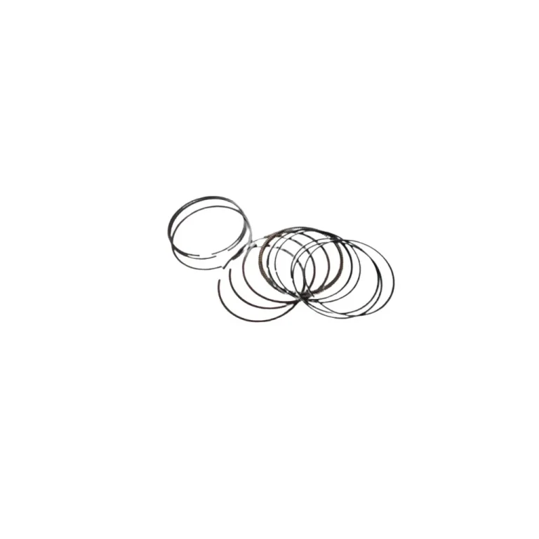 قیمت رینگ موتور لیفان X60 و 620 (1800) (سایز 25) در اتوچین