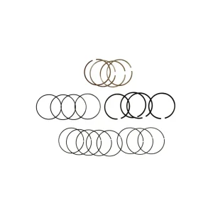 قیمت رینگ موتور چری آریزو 5 دنده و اتومات(استاندارد) در اتوچین