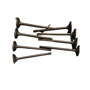 H230) در اتوچین