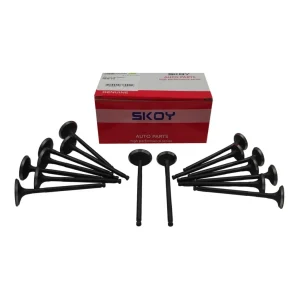 سوپاپ دود و هوا راین V5