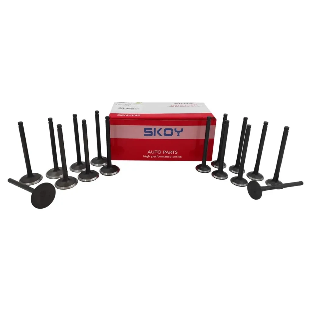 سوپاپ دود و هوا لیفان X50 سوپاپ دود و هوا لیفان X50 - تصویر 3