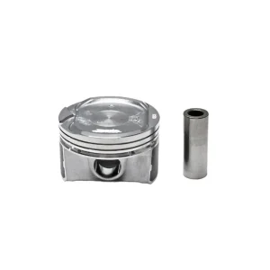 قیمت پیستون جیلی امگرند EC7