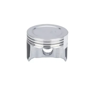 قیمت پیستون لیفان X50 (استاندارد) در اتوچین